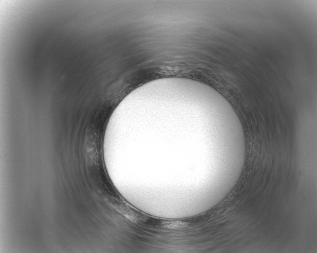 X0000061760226200512021147
