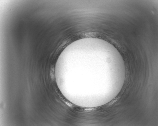 X0000061760240200512021147