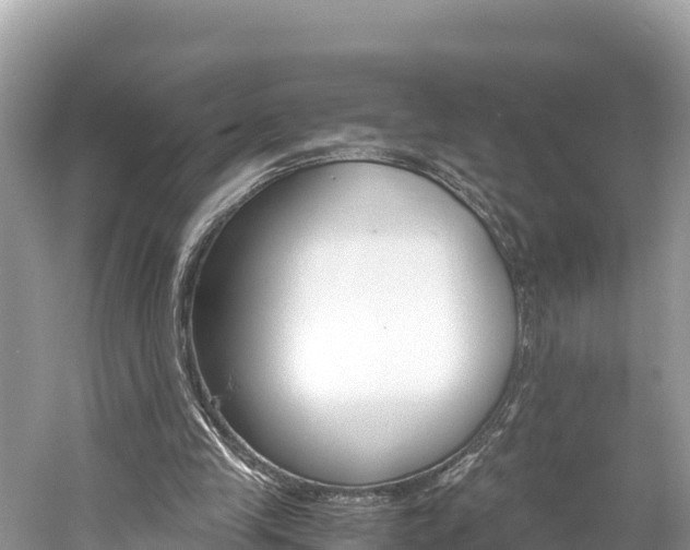 X0000061760245200512021146