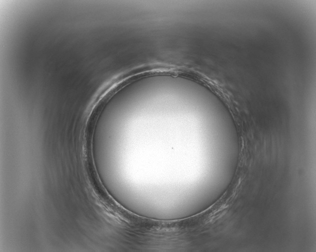 X0000061760247200512021146