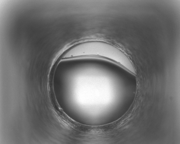 X0000061760248200512021146