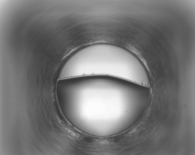 X0000061760249200512021146