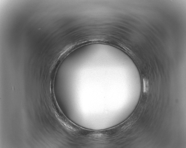 X0000061760253200512021146