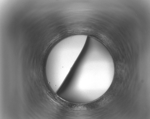 X0000061760258200512021146
