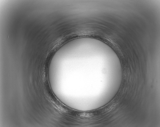 X0000061760261200512021146