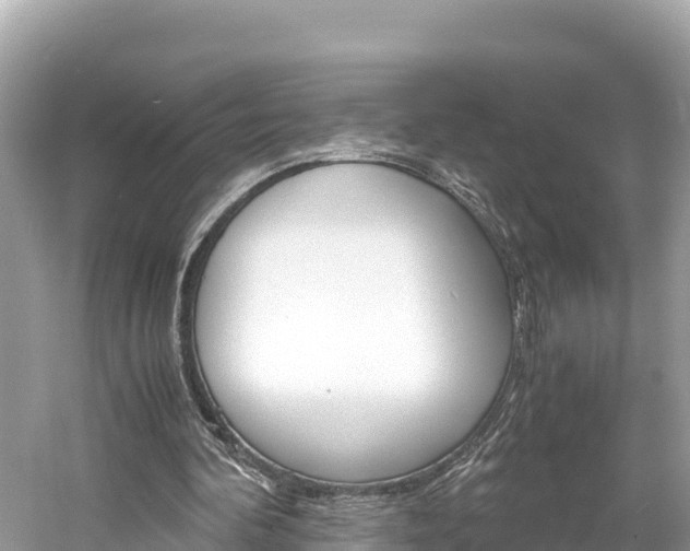 X0000061760292200512021146