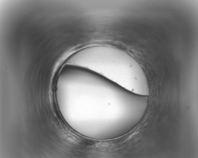 X0000061760294200512021146
