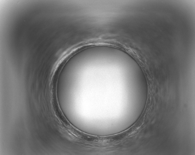X0000061760295200512021146