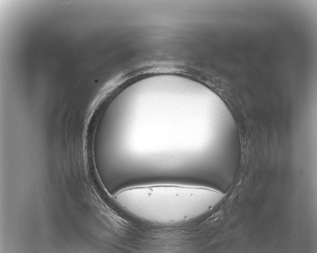 X0000061760296200512021146