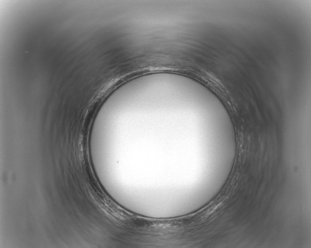 X0000061760298200512021146