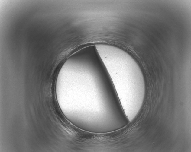 X0000061760299200512021146