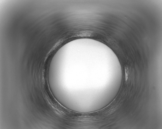 X0000061760300200512021146