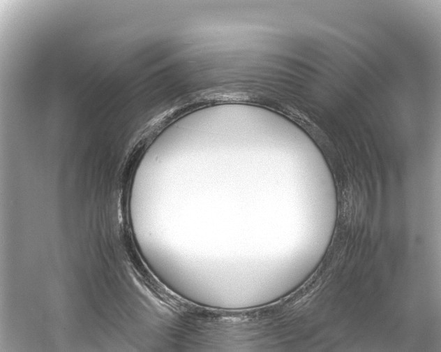 X0000061760302200512021146