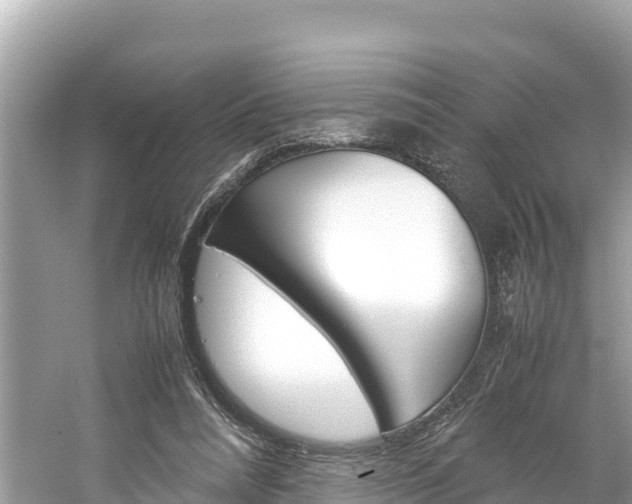X0000061760304200512021146