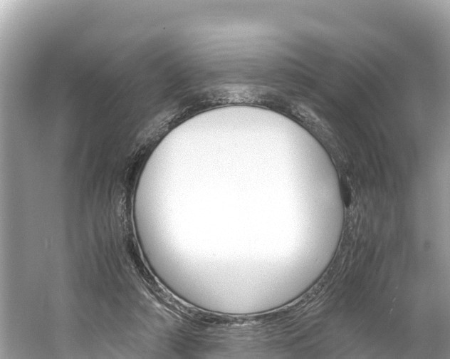 X0000061760306200512021146
