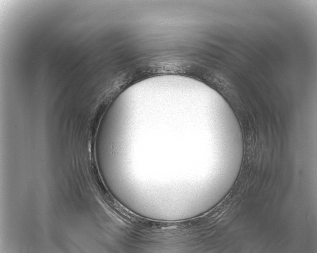 X0000061760310200512021146