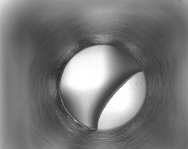 X0000061760312200512021145