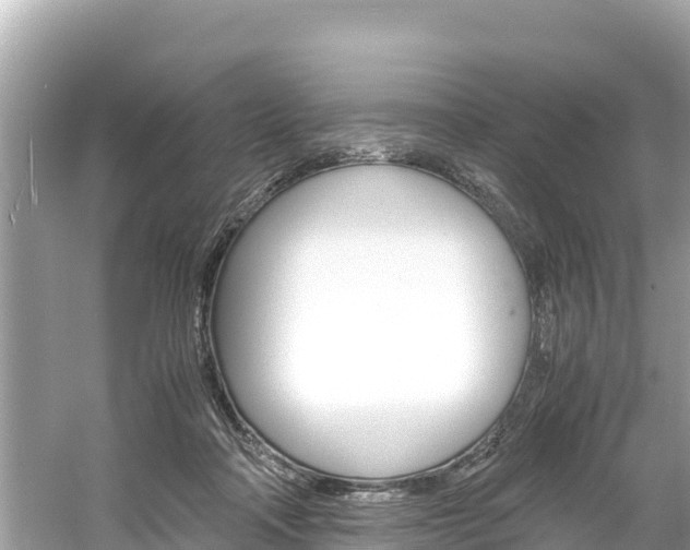X0000061760314200512021145