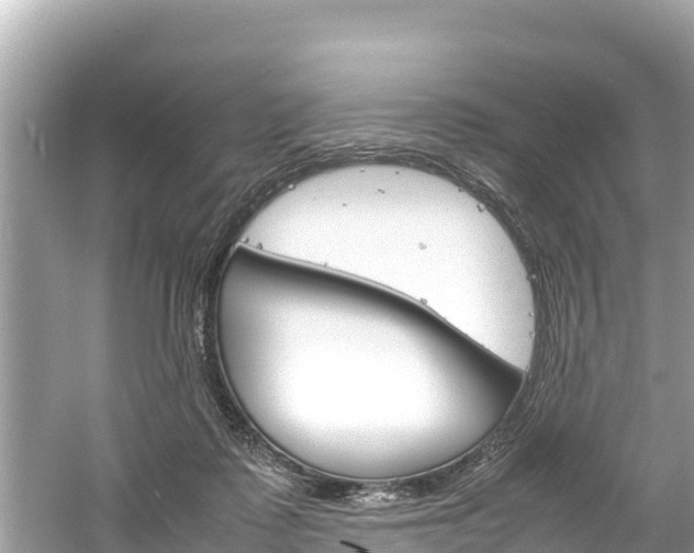 X0000061760315200512021145