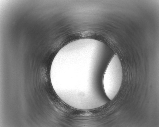 X0000061760316200512021145