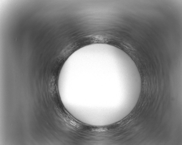 X0000061760318200512021145