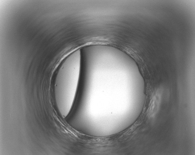X0000061760338200512021144