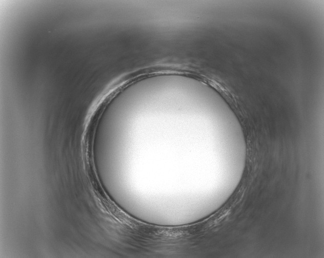 X0000061760343200512021144