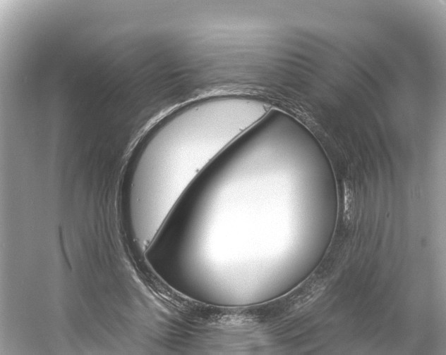 X0000061760348200512021144