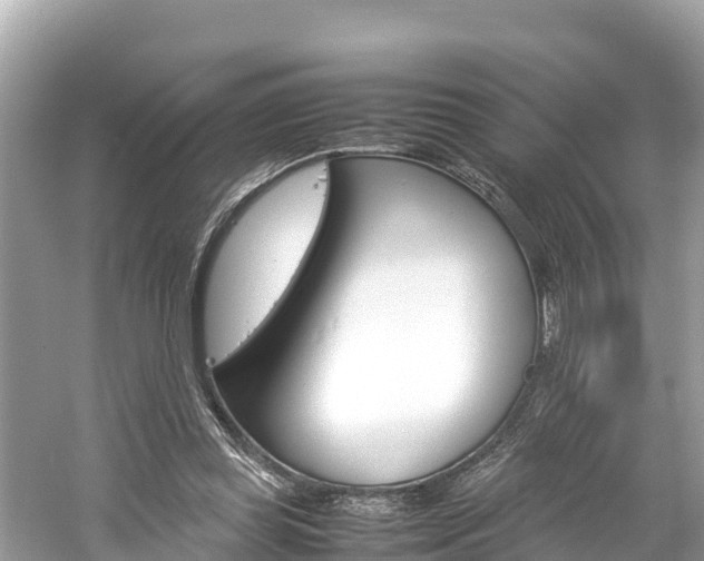 X0000061760349200512021144