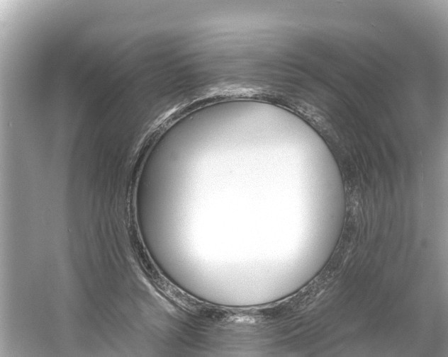 X0000061760352200512021144