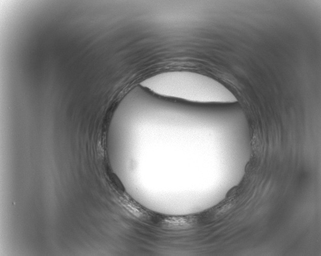 X0000061760381200512021145