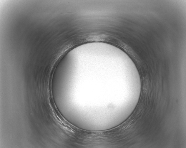 X0000061760386200512021144