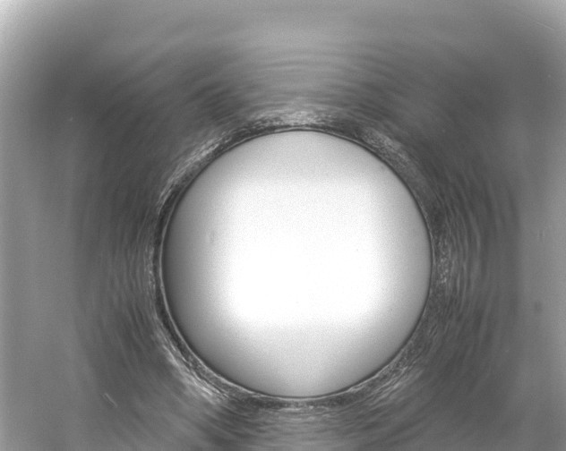X0000061760394200512021144
