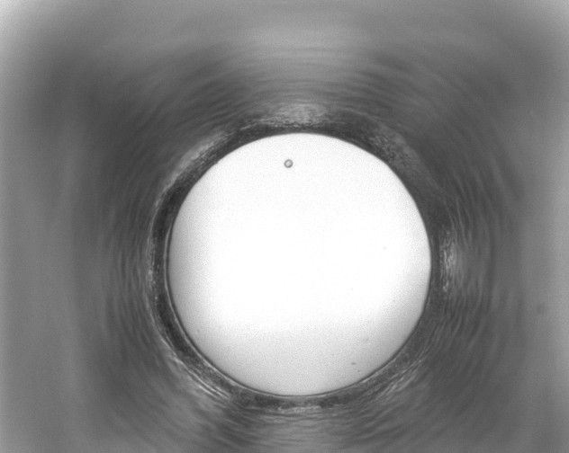 X0000061760396200512021144