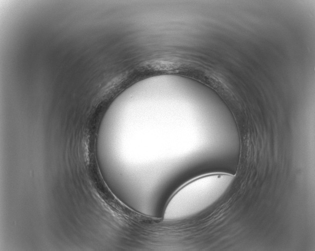 X0000061760404200512021144