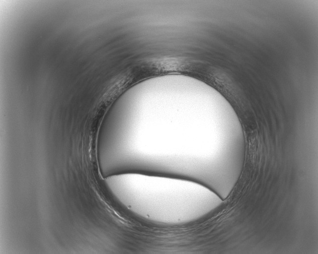 X0000061760406200512021144