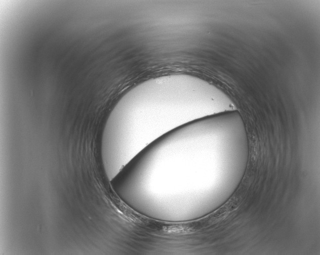 X0000061760414200512021144