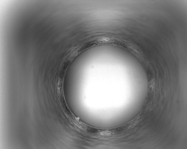 X0000061760423200512021144