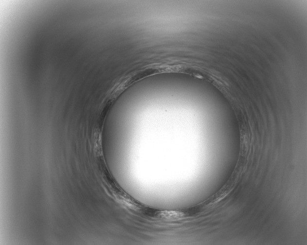 X0000061760429200512021143