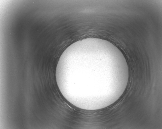 X0000061760432200512021143