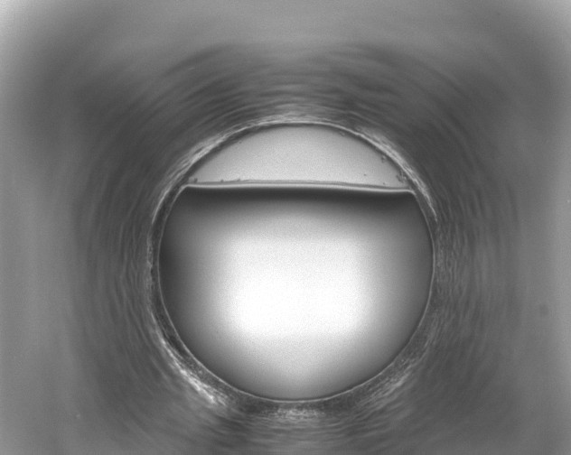 X0000061760437200512021143