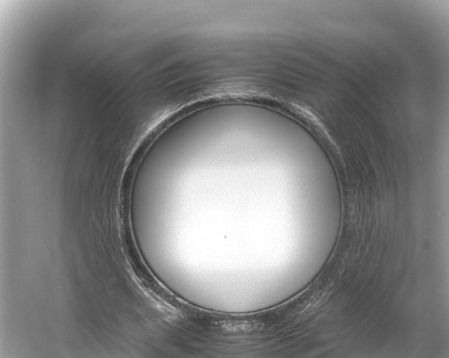 X0000061760439200512021143