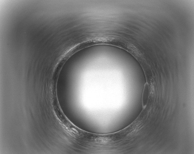 X0000061760444200512021143