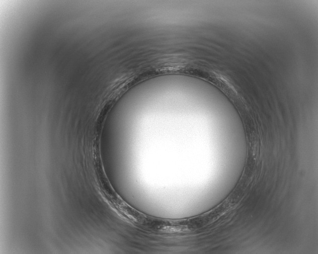 X0000061760455200512021143