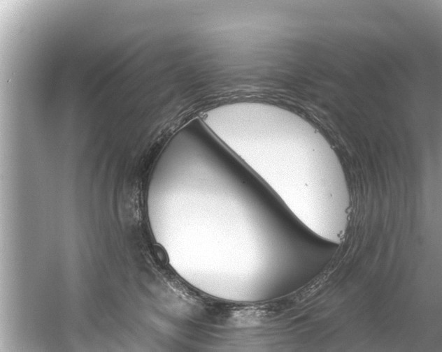 X0000061760470200512021143