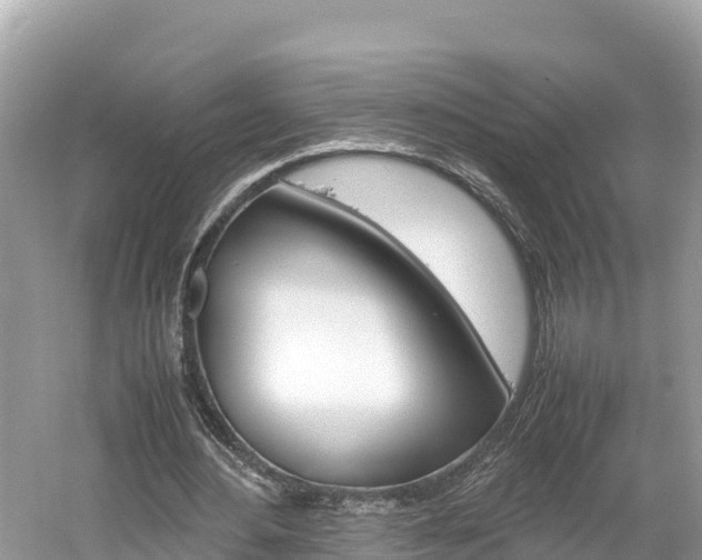 X0000061760484200512021142