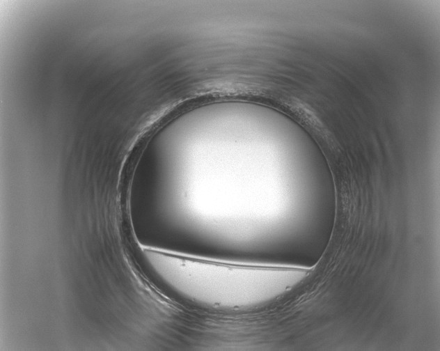 X0000061760488200512021142