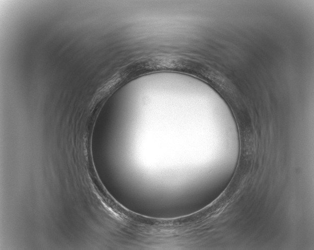 X0000061760489200512021142