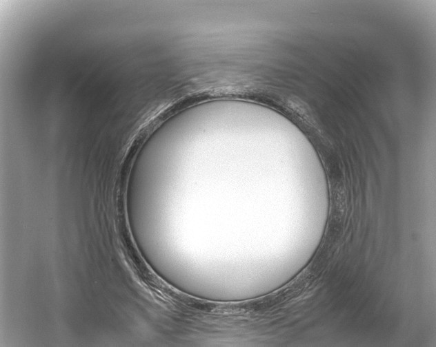 X0000061760491200512021142