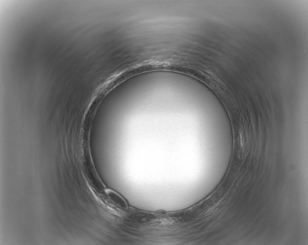 X0000061760492200512021142
